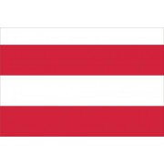 Brněnská vlajka