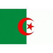 Alzirsko vlajka
