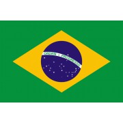Brazílie vlajka 