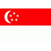 Singapur vlajka 