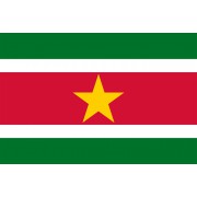 Surinam vlajka 