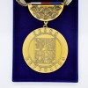 Detail závěsného odznaku pro starosty s řetízkem a státními barvami, starozlato